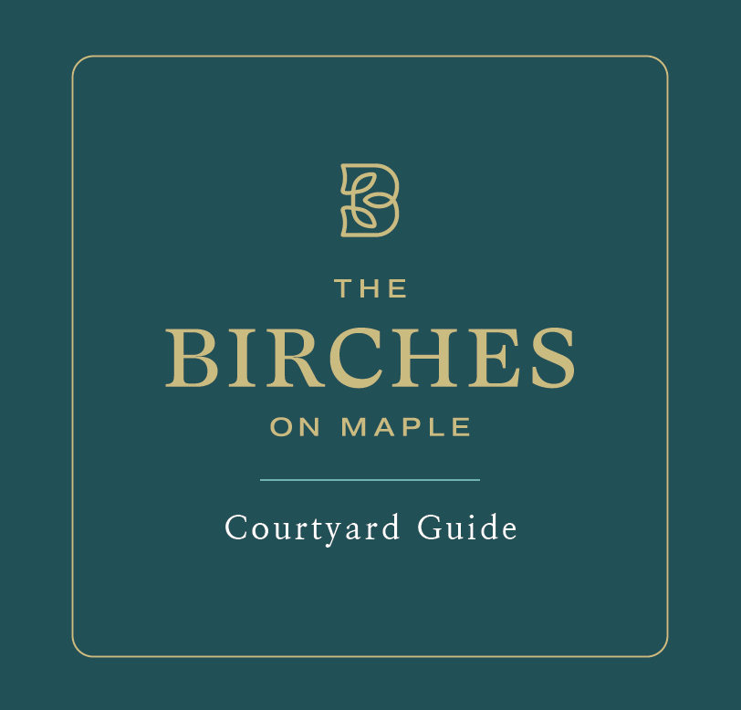 Courtyard Guide